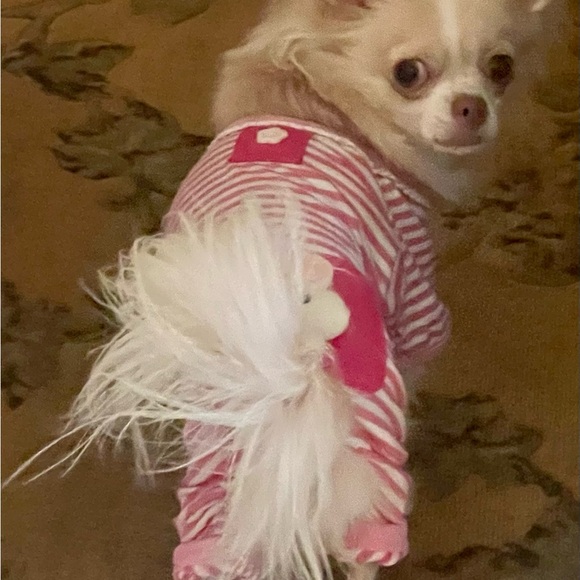 Meet your Posher, Erin - Picture 8 of 15